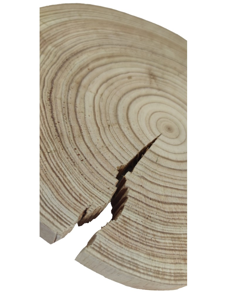 Plastry Okrągłe - Plaster drewna - fi 20-25 cm - Modrzew, gr 2,5 cm - product MODO24.PL 3