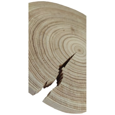 Plaster drewna - fi 20-25 cm - Modrzew, gr 2,5 cm