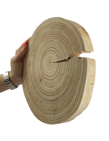 Plaster drewna - fi 20-25 cm - Modrzew, gr 2,5 cm