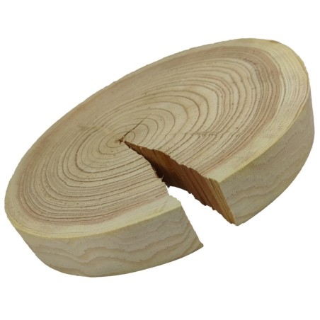 Plaster drewna - fi 20-25 cm - Modrzew, gr 2,5 cm