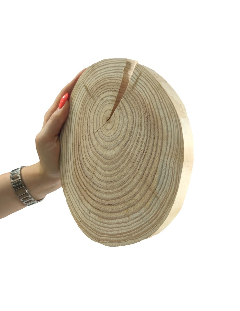 Plastry Okrągłe - Plaster drewna - fi 15-20 cm - Modrzew, gr 2,0 cm - product MODO24.PL 1