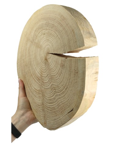 Plaster drewna - fi 30-35 cm - Modrzew, gr 4,0 cm