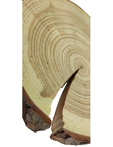 Plaster drewna z korą - fi 20-25 cm - Modrzew, gr 4,0 cm - product 2