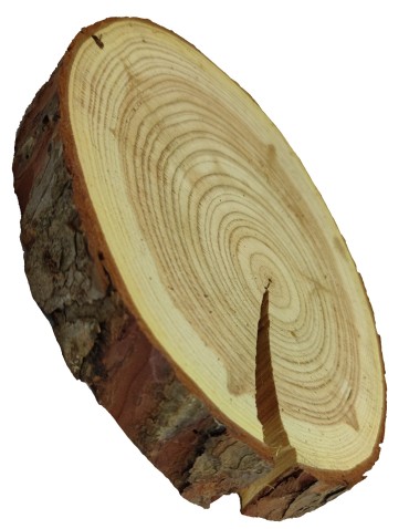 Plastry Okrągłe - Plaster drewna z korą - fi 20-25 cm - Modrzew, gr 4,0 cm - product 3