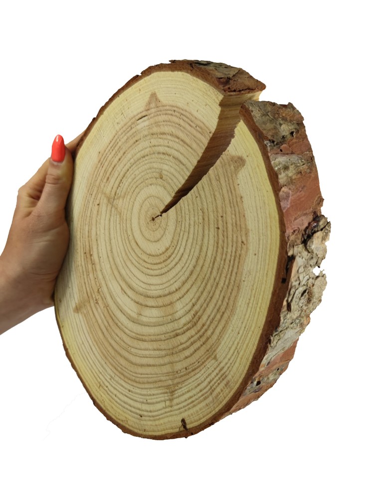 Plastry Okrągłe - Plaster drewna z korą - fi 20-25 cm - Modrzew, gr 4,0 cm - product MODO24.PL 1
