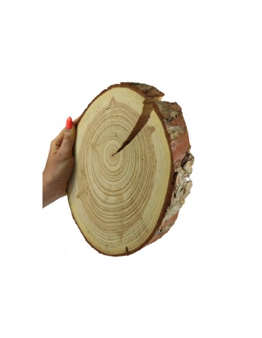 Plastry Okrągłe - Plaster drewna z korą - fi 20-25 cm - Modrzew, gr 4,0 cm - product 4