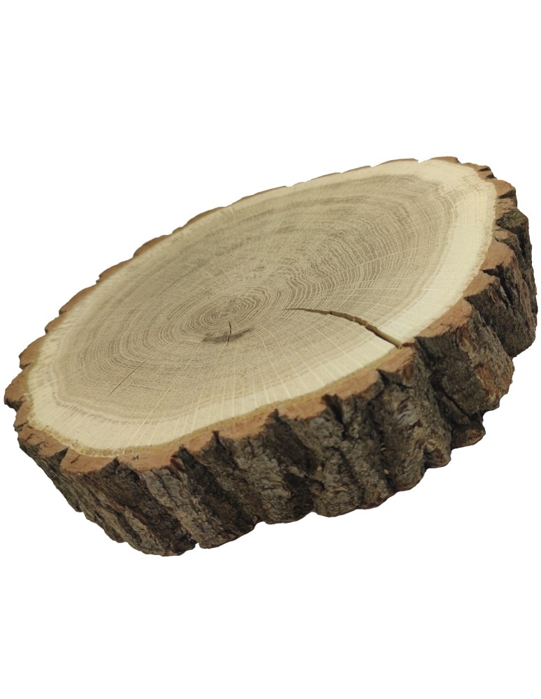 Plastry Okrągłe - Plaster drewna z korą - fi 25-30 cm - Dąb, gr 5,0 cm - product MODO24.PL 3