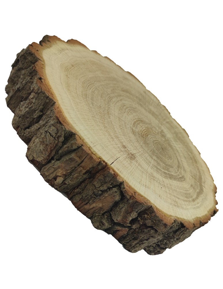 Plastry Okrągłe - Plaster drewna z korą - fi 25-30 cm - Dąb, gr 5,0 cm - product MODO24.PL 2