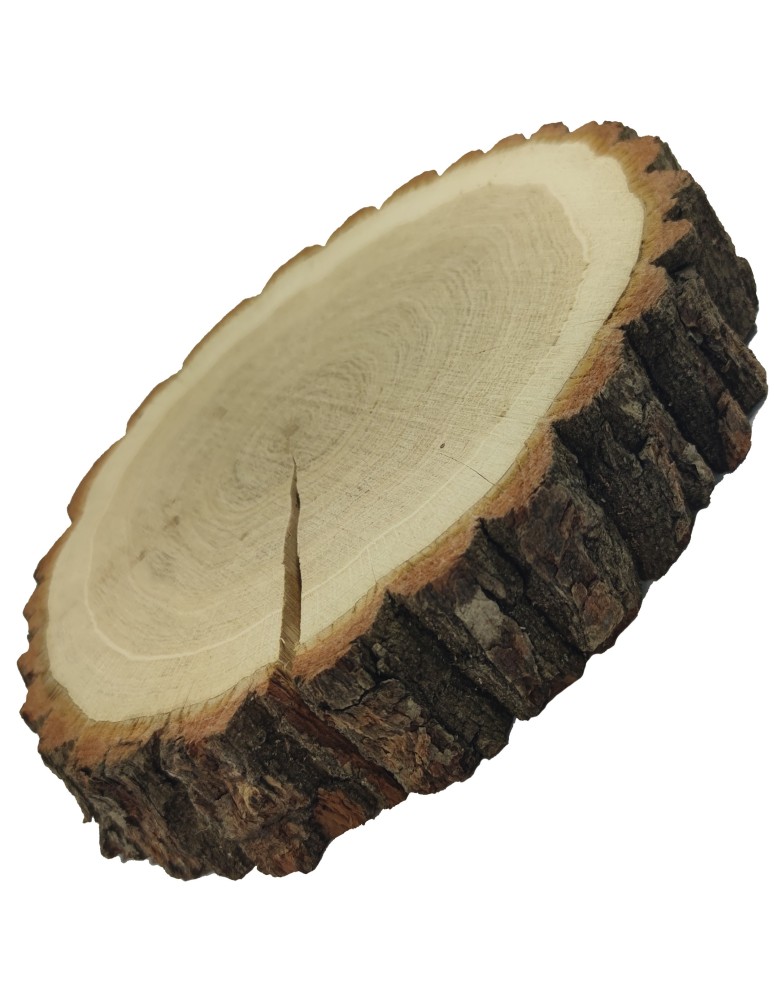 Plastry Okrągłe - Plaster drewna z korą - fi 25-30 cm - Dąb, gr 5,0 cm - product MODO24.PL 5
