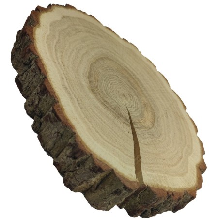 Plaster drewna z korą - fi 20-25 cm - Dąb, gr 3,0 cm