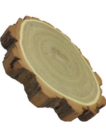 Plastry Okrągłe - Plaster drewna z korą - fi 20-25 cm - Akacja, gr 3,5 cm - product 8