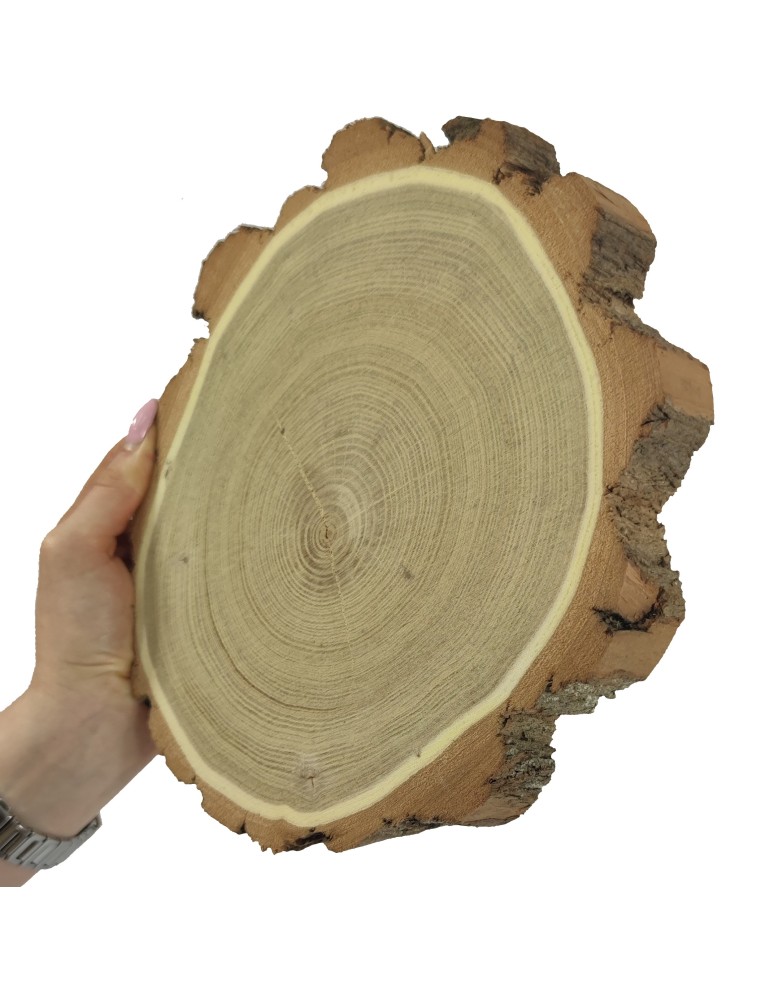 Plastry Okrągłe - Plaster drewna z korą - fi 20-25 cm - Akacja, gr 3,5 cm - produkt MODO24.PL 1