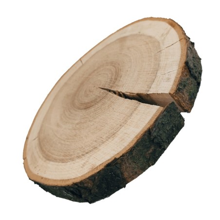 Plaster drewna z korą - fi 15-20 cm - Czeremcha, gr 3,0 cm