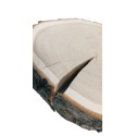 Plaster drewna z korą - fi 15-20 cm - Czeremcha, gr 3,0 cm
