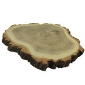 Plaster drewna z korą - fi 20-25 cm - Akacja, gr 2,0 cm
