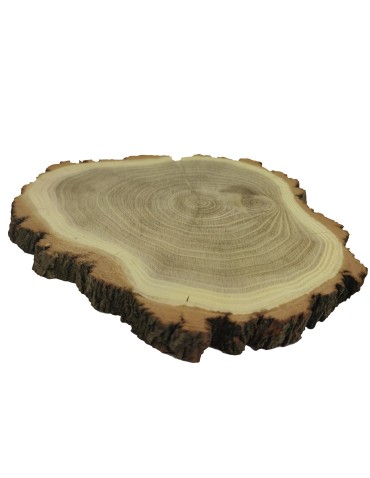 Plastry Okrągłe - Plaster drewna z korą - fi 20-25 cm - Akacja, gr 2,0 cm - product 9