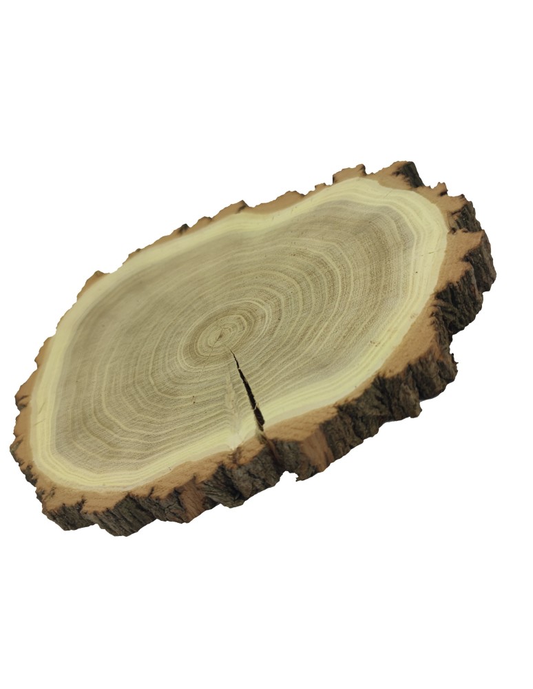 Plastry Okrągłe - Plaster drewna z korą - fi 20-25 cm - Akacja, gr 2,0 cm - product MODO24.PL 8