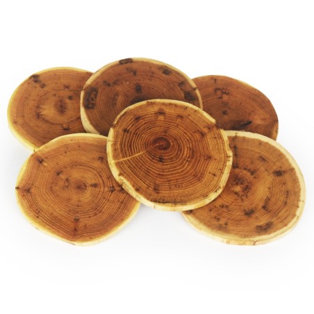 Akacjowe Podkładki Na Stół ⚛ Okorowane ⚛ Olejowane ⚛ ø 12-15 cm ⚛ 6 sztuk