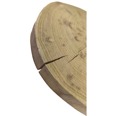 Plaster drewna - fi 20-25 cm - Akacja, gr 2,0 cm