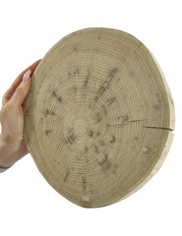 Plaster drewna - fi 20-25 cm - Akacja, gr 2,0 cm