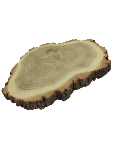 Plaster drewna z korą - fi 15-20 cm - Akacja, gr 2,0 cm - product 2