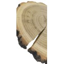 Plaster drewna z korą - fi 15-20 cm - Akacja, gr 2,0 cm