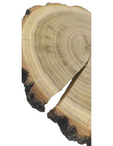 Plastry Okrągłe - Plaster drewna z korą - fi 15-20 cm - Akacja, gr 2,0 cm - product 4