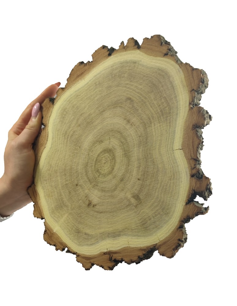 Plastry Okrągłe - Plaster drewna z korą - fi 15-20 cm - Akacja, gr 2,0 cm - produkt MODO24.PL 1