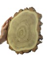 Plaster drewna z korą - fi 15-20 cm - Akacja, gr 2,0 cm