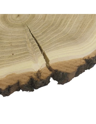 Plastry Okrągłe - Plaster drewna z korą - fi 15-20 cm - Akacja, gr 2,0 cm - product 13