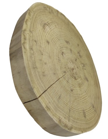 Plastry Okrągłe - Plaster drewna bez kory- fi 25-30 cm - Akacja, gr 3,5 cm - product 9