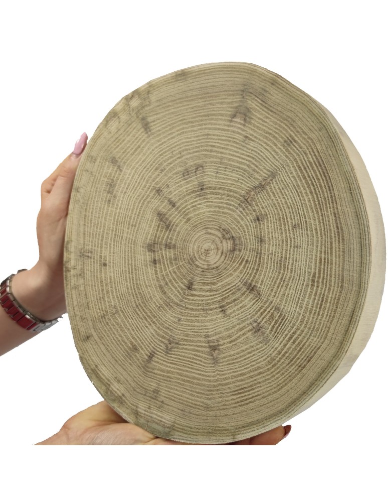 Plastry Okrągłe - Plaster drewna bez kory- fi 25-30 cm - Akacja, gr 3,5 cm - product MODO24.PL 11