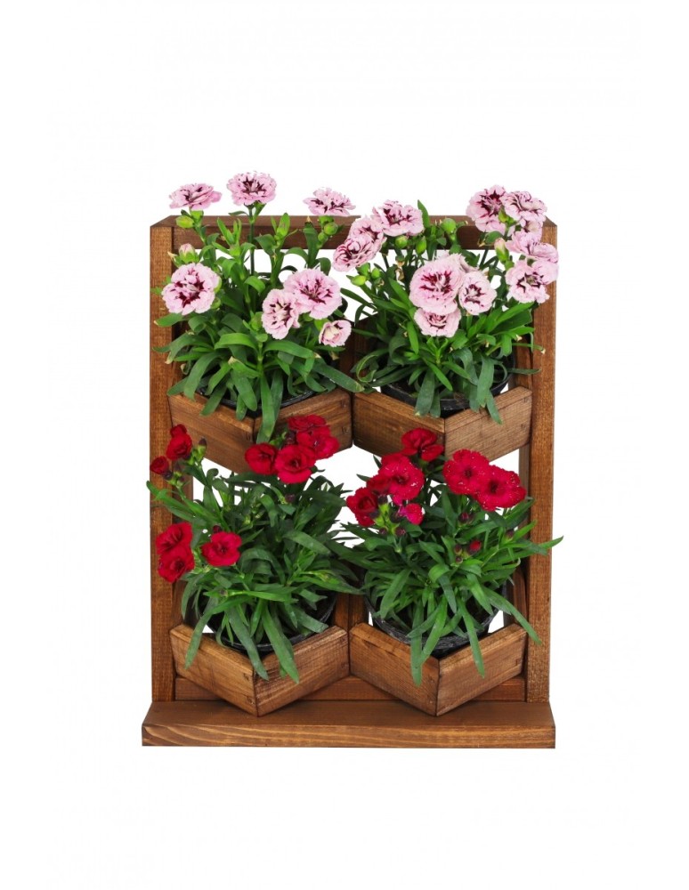 Kwietniki i donice - Ogród Wertykalny RD-8 2x2 12cm olcha - product MODO24.PL 6