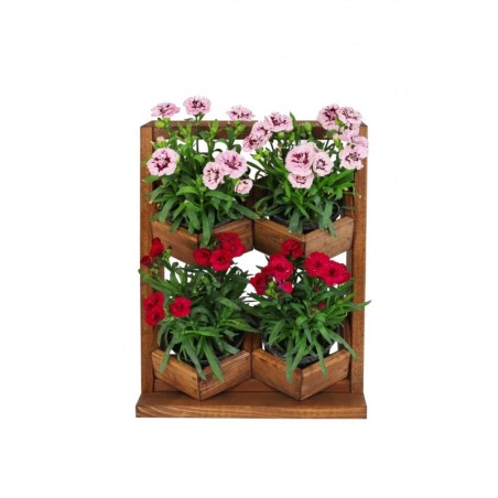 Ogród Wertykalny RD-8 2x2 12cm olcha