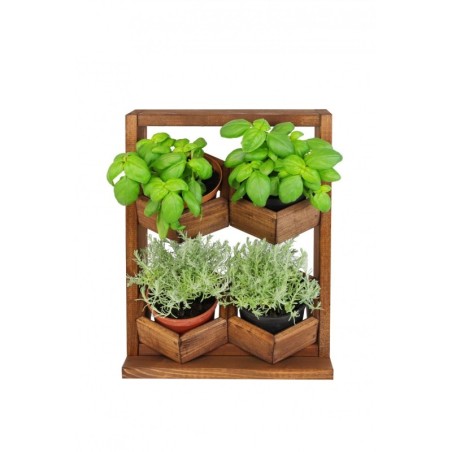 Ogród Wertykalny RD-8 2x2 12cm olcha