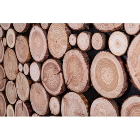 Ozdobny Panel Ścienny ⭑ Plastry Modrzewia ⭑ 1 sztuka