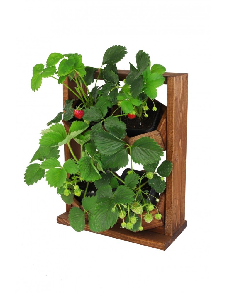 Kwietniki i donice - Ogród Wertykalny RD-8 2x2 12cm olcha - produkt MODO24.PL 1
