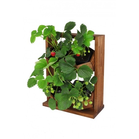 Ogród Wertykalny RD-8 2x2 12cm olcha