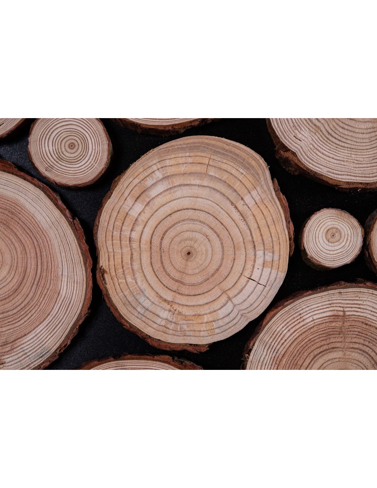 Drewniane Panele Ścienne/ Panele z Plastrów - Ozdobny Panel Ścienny ⭑ Plastry Modrzewia ⭑ 1 sztuka - product MODO24.PL 4