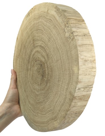 Plastry Okrągłe - Plaster drewna bez kory - fi 25-30 cm - Dąb, gr 4,0 cm - product 4