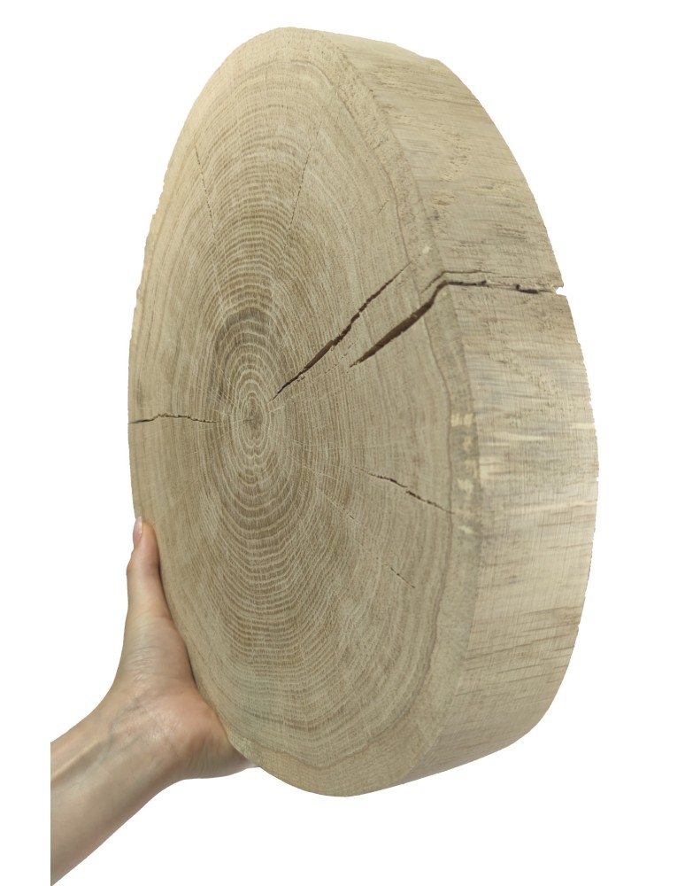 Plastry Okrągłe - Plaster drewna bez kory - fi 30-35 cm - Dąb, gr 5,0 cm - produkt MODO24.PL 1