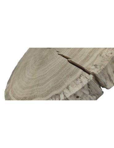 Plastry Okrągłe - Plaster drewna  - fi 35-40 cm - Dąb, gr 6,0 cm - product 3