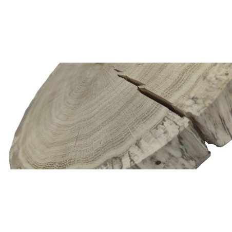 Plaster drewna  - fi 35-40 cm - Dąb, gr 6,0 cm