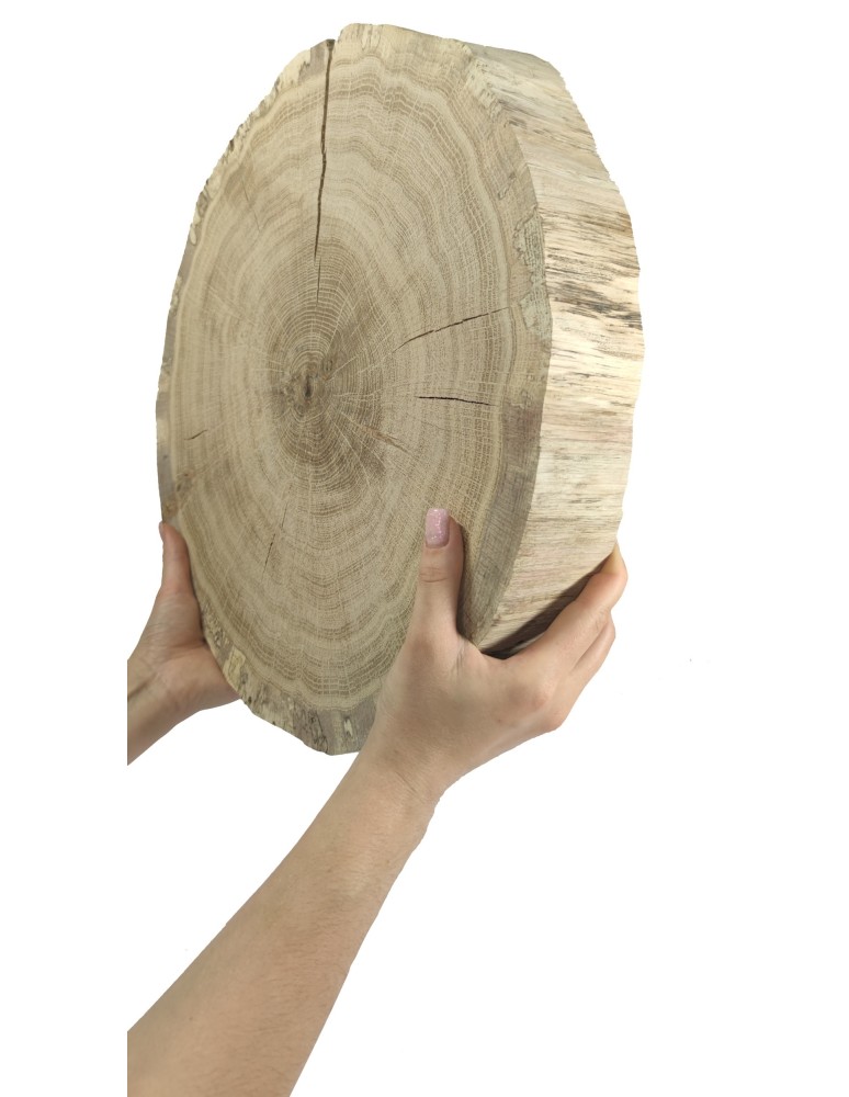 Plastry Okrągłe - Plaster drewna  - fi 35-40 cm - Dąb, gr 6,0 cm - produkt MODO24.PL 1
