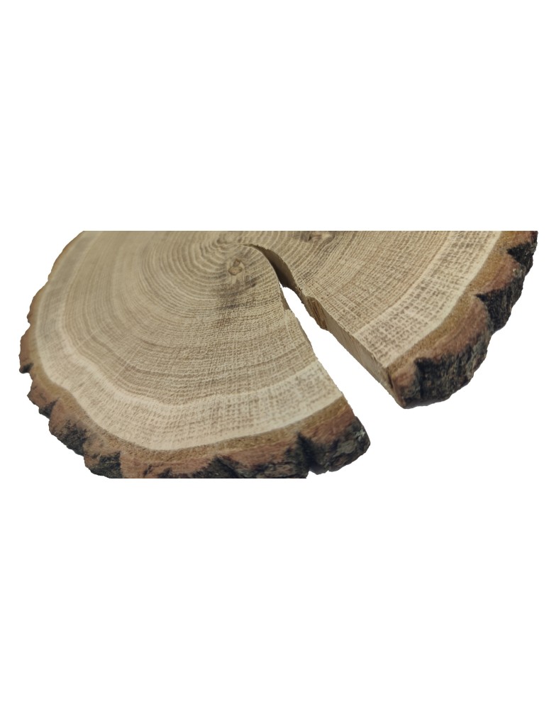 Plastry Okrągłe - Plaster drewna z korą - fi 15-20 cm - Dąb z korą gr 2,0 cm - product MODO24.PL 4