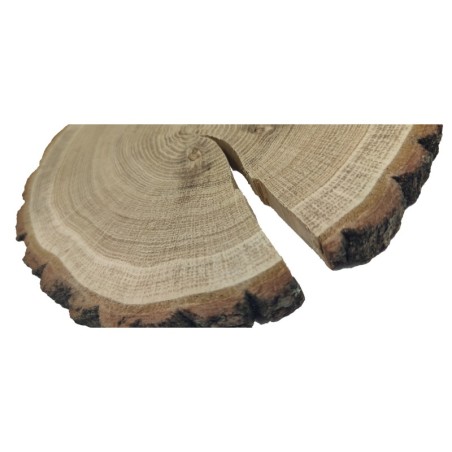 Plaster drewna z korą - fi 15-20 cm - Dąb z korą gr 2,0 cm