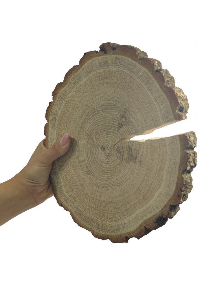 Plastry Okrągłe - Plaster drewna z korą - fi 15-20 cm - Dąb z korą gr 2,0 cm - produkt MODO24.PL 1