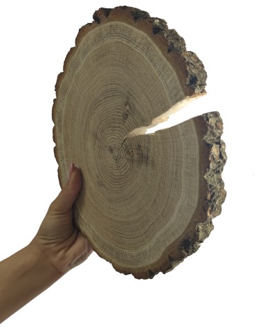 Plaster drewna z korą - fi 15-20 cm - Dąb z korą gr 2,0 cm - product 2