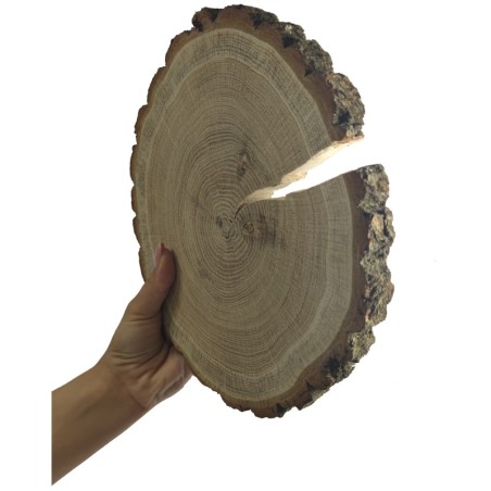 Plaster drewna z korą - fi 15-20 cm - Dąb z korą gr 2,0 cm