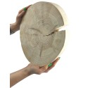 Plaster drewna - fi 20-25 cm - Sosna II, gr 3,0 cm